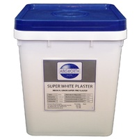 Super White Plaster