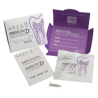 EndoCem MTA Premixed Injectable Paste, 2g Syringe