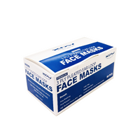 Premium Pleated Ear-Loop Face Mask Blue