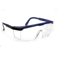 Protective Glasses: Clear Lenses, Adjustable Blue Frame