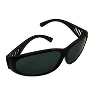 Protective Glasses, Smoked Lens, Non-Adjustable